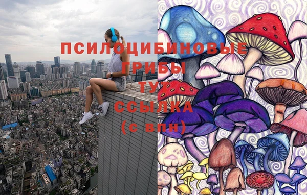 скорость Медвежьегорск