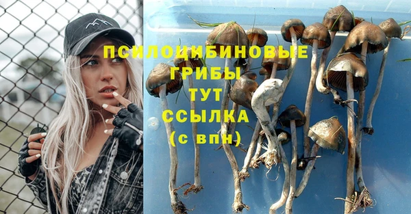 скорость Медвежьегорск