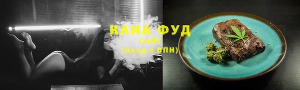 прущие грибы Апатиты