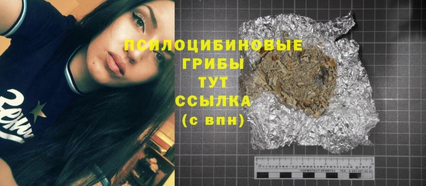 ECSTASY Мегион
