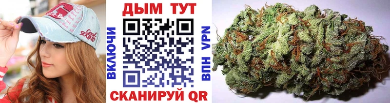 Конопля гибрид  Купить где  Кашира 